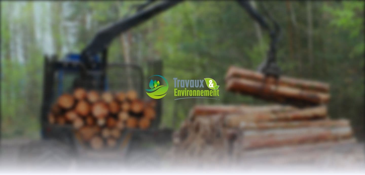 Travaux et Environnement